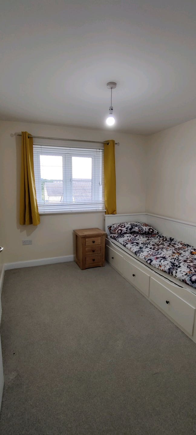 Room available in lovely location  Main Photo