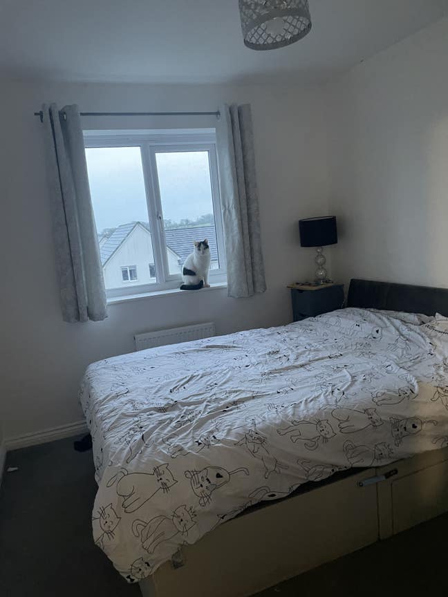 Quiet House  Main Photo