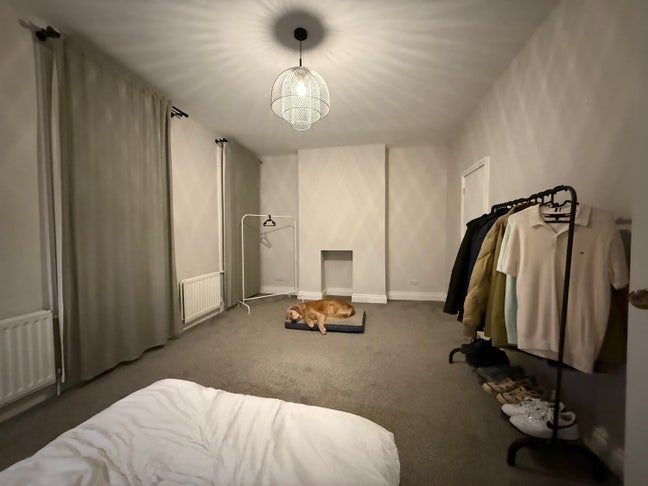 Large Bedrooms in Holywood Townhouse  Main Photo