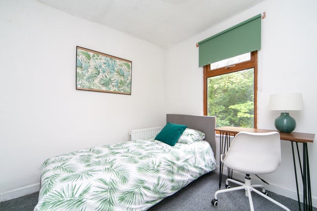 Single room in house share Main Photo