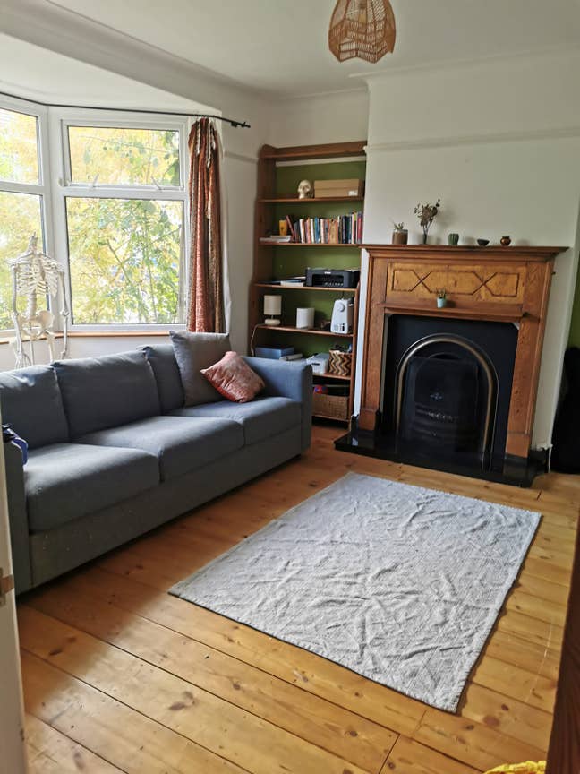 Happy Curious household looking for housemates Main Photo