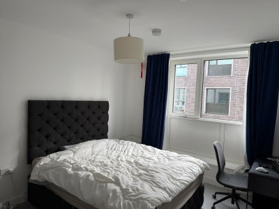 En-suite Double room available in 2 bed flat  Main Photo