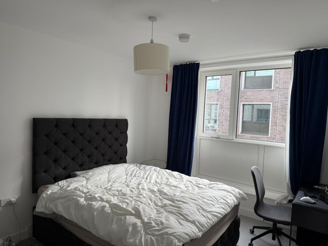 En-suite Double room available in 2 bed flat  Main Photo
