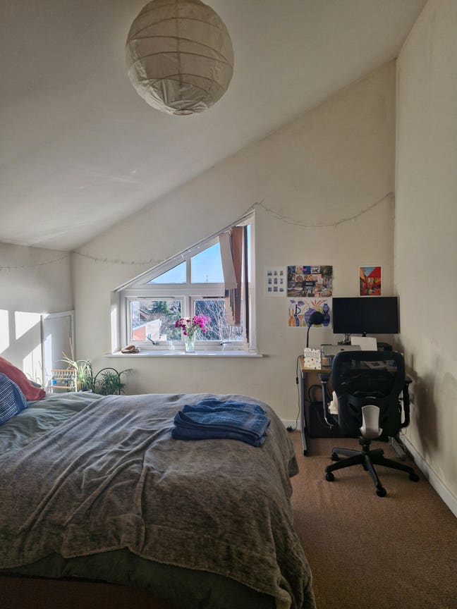 Double room available in Redland Main Photo