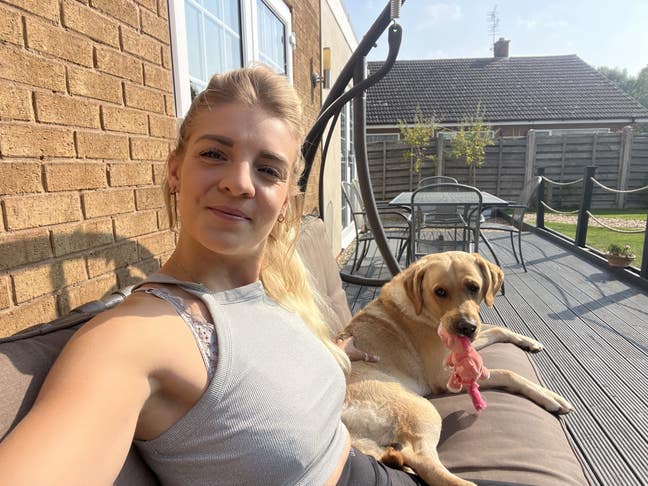 30 year old + Labrador looking for a home!  Main Photo