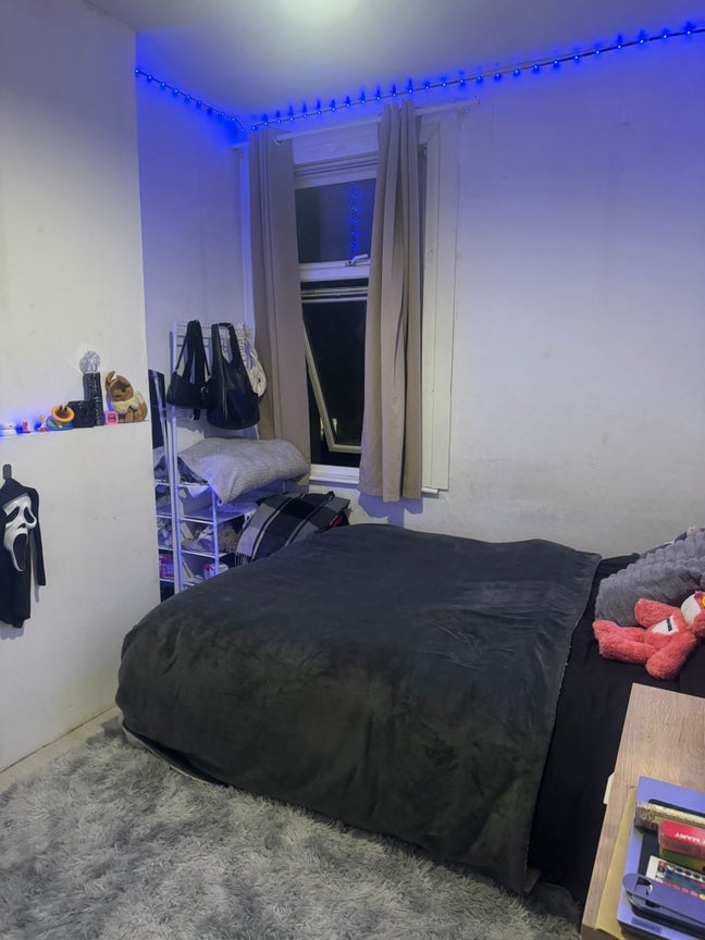 Looking for a new friend to join our house Main Photo