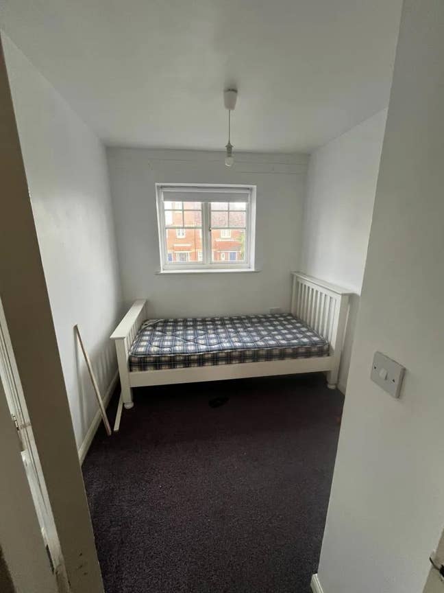 Student House looking for another Roommate Main Photo