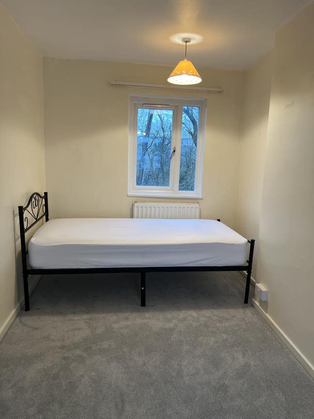  Furnished & Spacious Rooms Near Maylands Ave Main Photo
