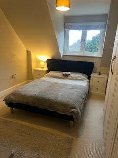 Large Double Room in Modern Apartment Main Photo