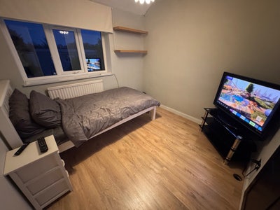 Single Room For Rent Main Photo