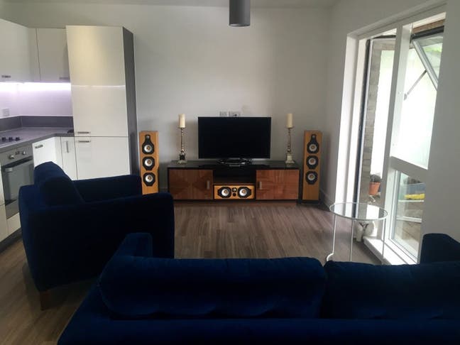 Bright, calm flat share with friendly cat  Main Photo