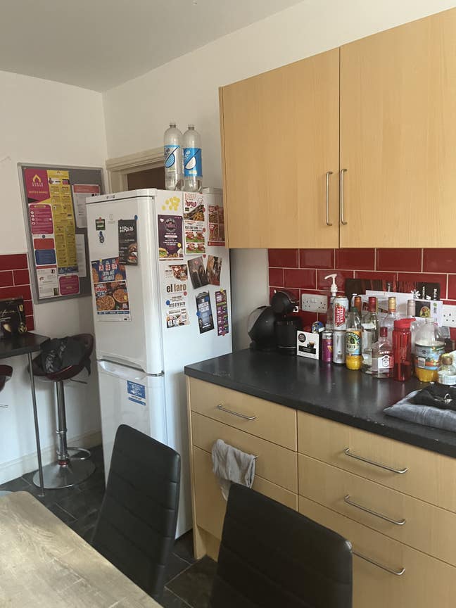 Looking for someone to fill a room Main Photo