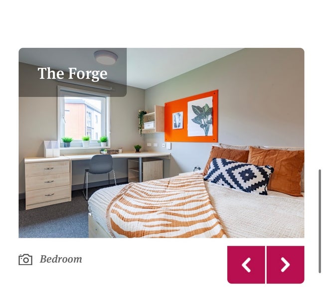 Forge Tenancy Takeover ⭐️ Main Photo