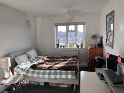 Spacious south-facing double room in 2-bed flat Main Photo