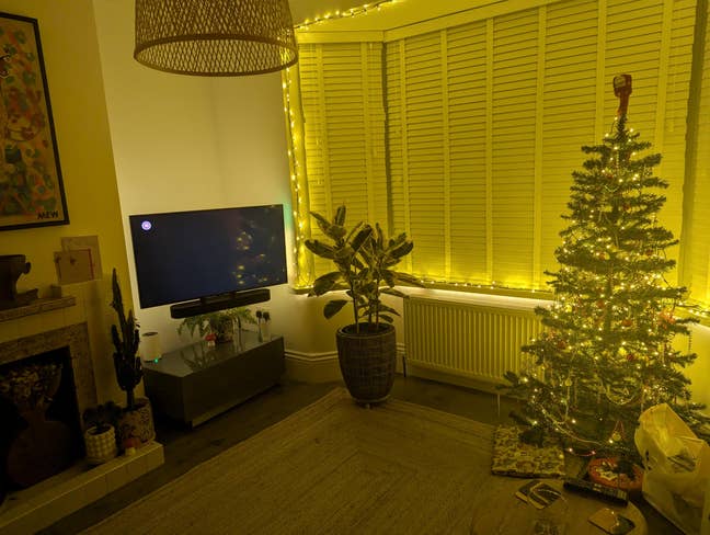 Spacious, Friendly Home for a Working Professional Main Photo