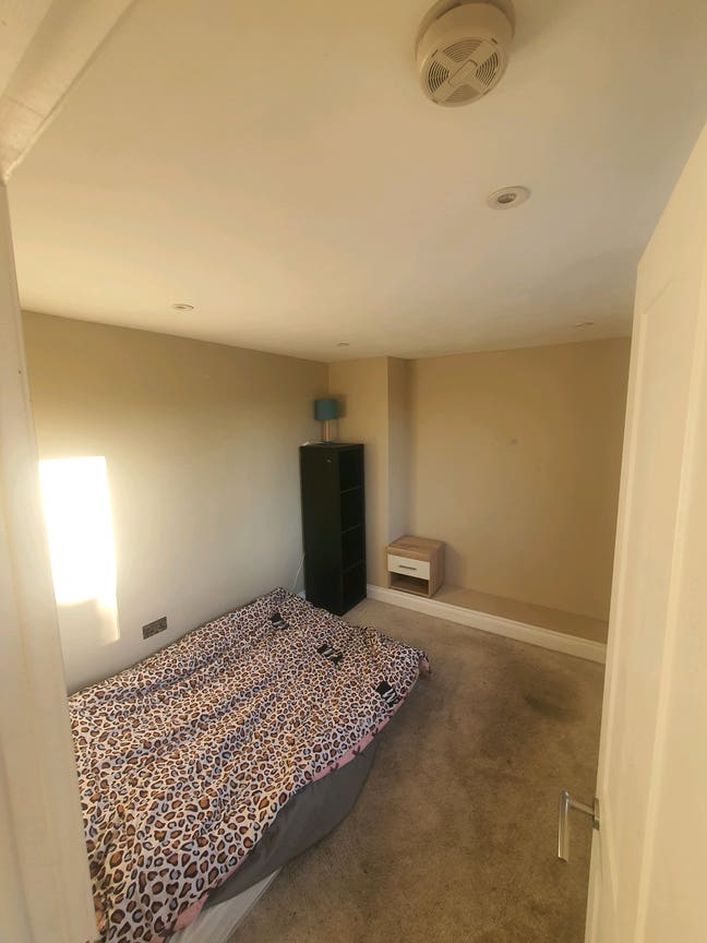 Cozy and Sunny  room to rent  Main Photo