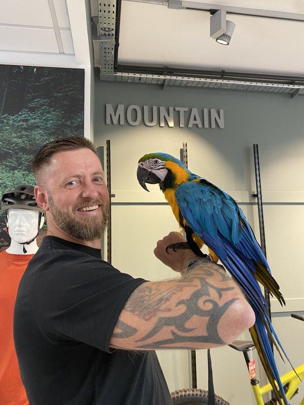 I am a professional male aged 46. I am lookin... Main Photo