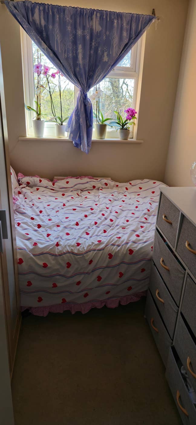 Share Room available  Main Photo