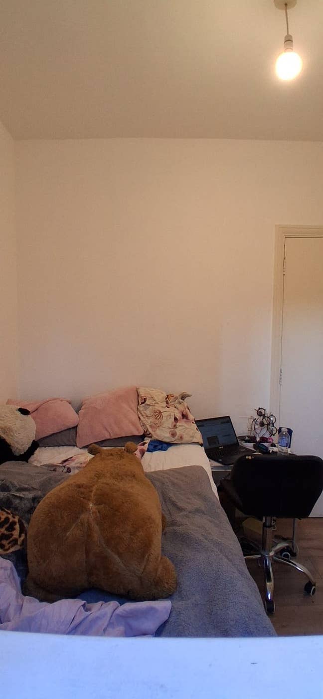 Flat Share /House Share  Main Photo