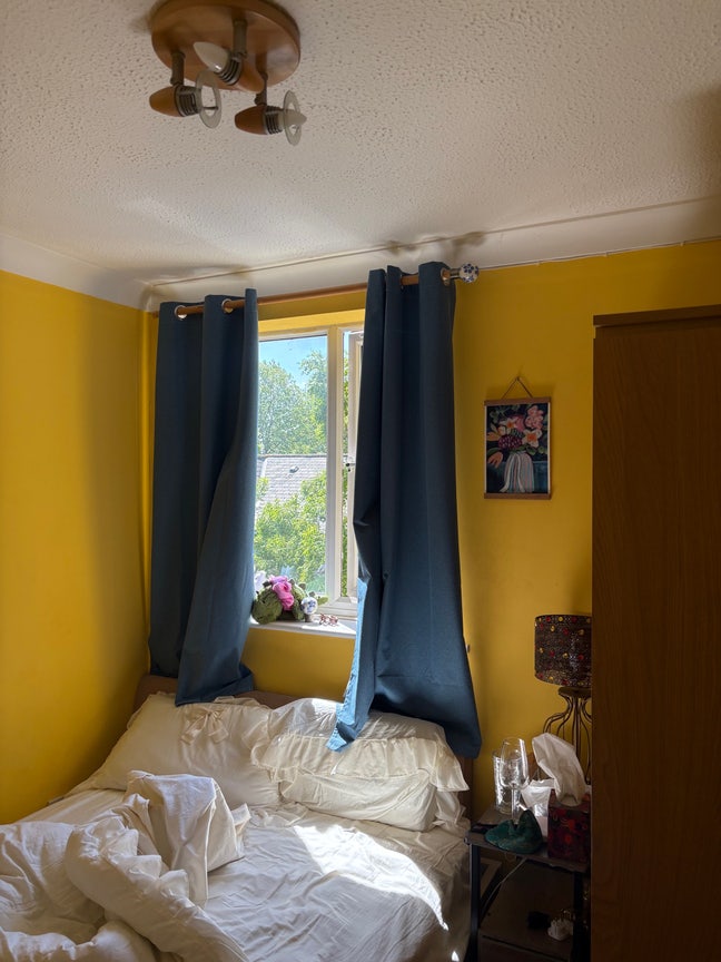 Pretty, Queer, Cosy, Artistic room in Zone 2✨ Main Photo