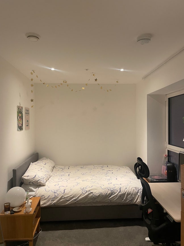 Gorgeous Light Filled Room in East Village! Main Photo