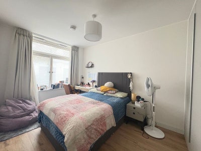 Bright & cosy double room in friendly flatshare Main Photo