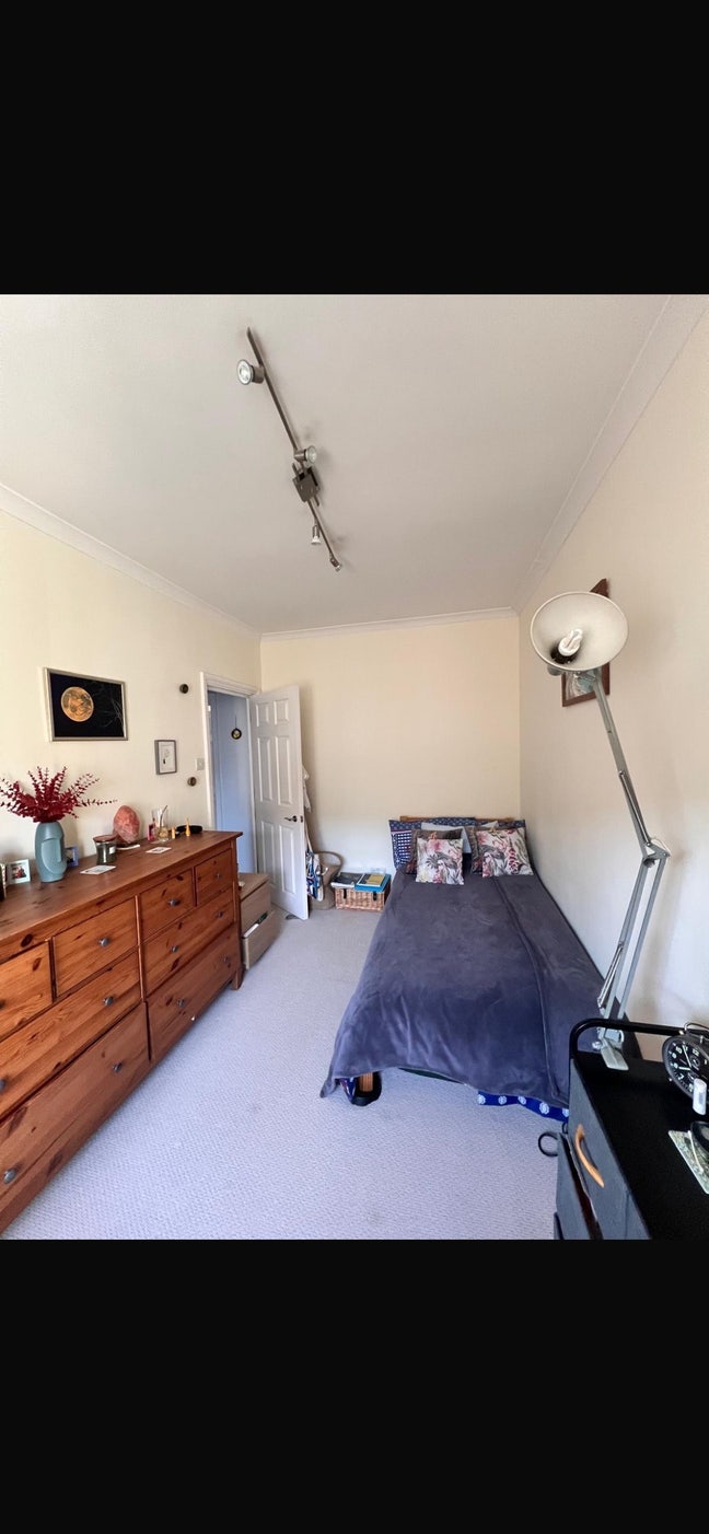 Bright, cosy flat. Amazing location. Main Photo