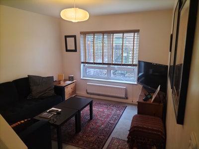 1 large bedroom + private study/living room Main Photo