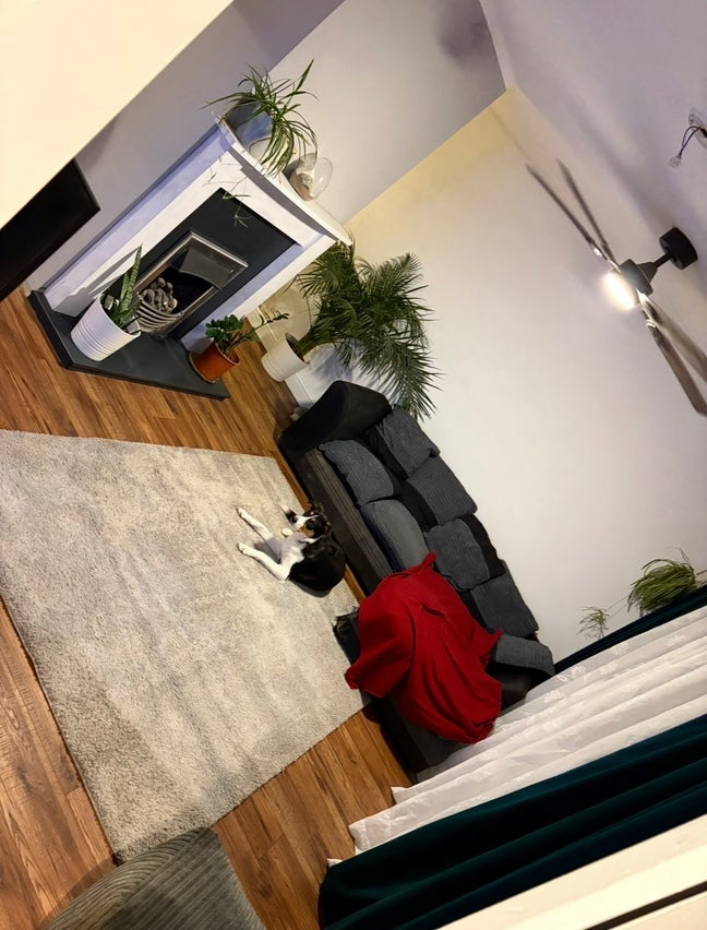 1 double bed room available.  Main Photo