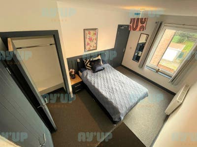 Move-in Offer: Half-price first 2 weeks! Main Photo