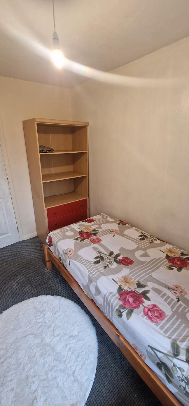 Single room to let for female  Main Photo