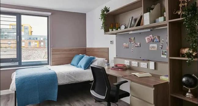 Urgent tenancy takeover at Howard Gardens Cardiff Main Photo