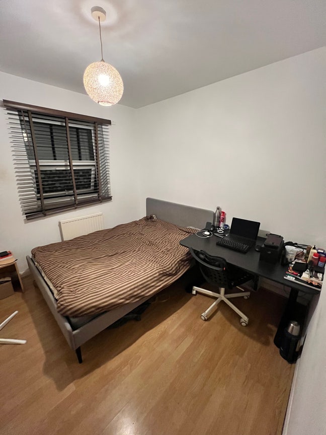 Looking for a Friendly Flatmate Main Photo