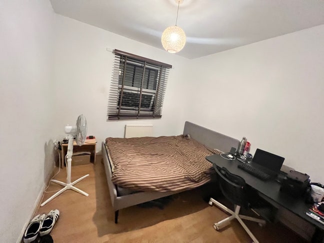 Looking for a Friendly Flatmate Main Photo