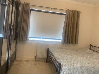 Room to let very good condition  Main Photo