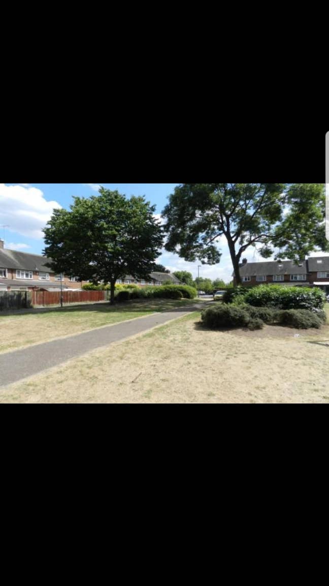 Double and single size rooms available  Main Photo