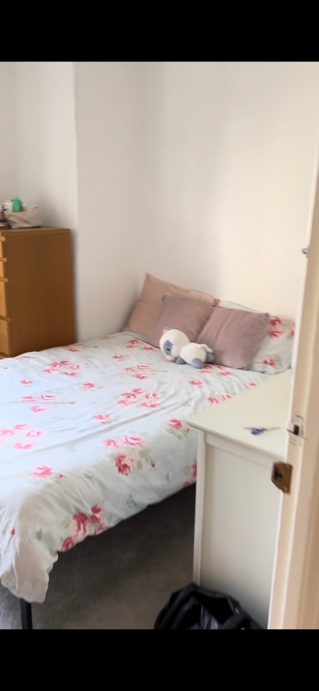 Lovely Double Room in Southfields Main Photo