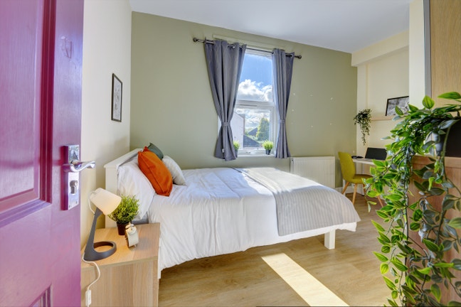 Beautiful En Suite Room on Gulson Road  Main Photo