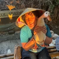 Professional Female seeks a double room Main Photo