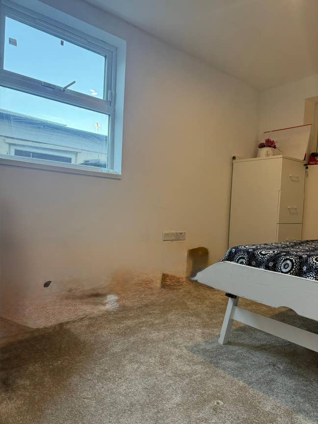Two Single Rooms in Spacious House – Hoe E17 Main Photo