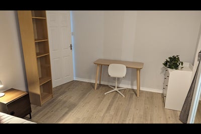 Stunning room in Forest Hill flatshare Main Photo