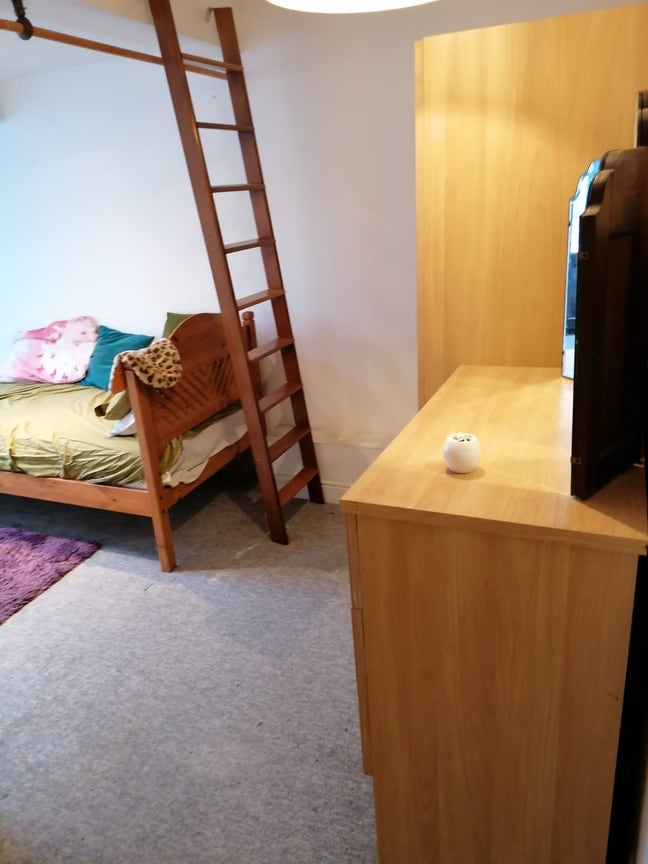 Room-and-a-half Main Photo