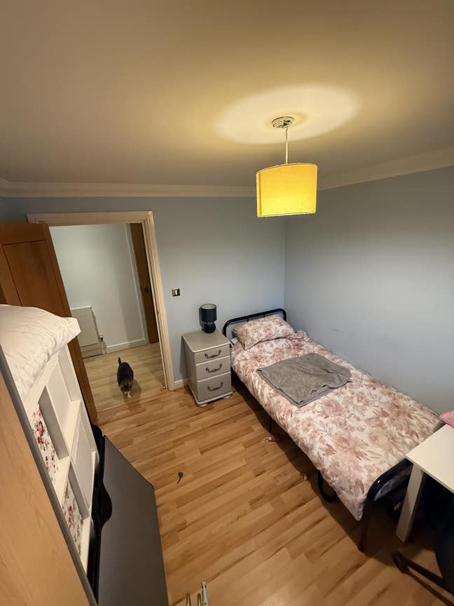 Spacious bedroom for rent Main Photo