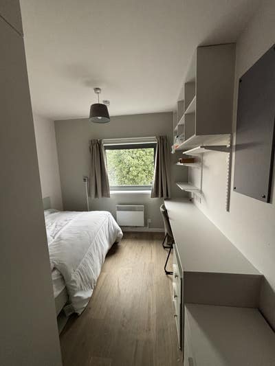 Unite Students room for rent Main Photo