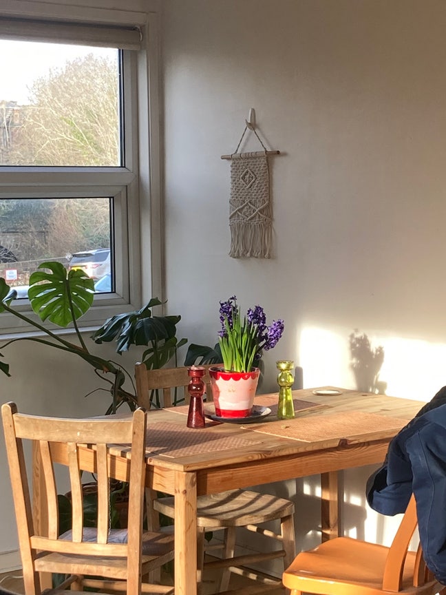 Double Room in Clifton in 2 bed flat share  Main Photo