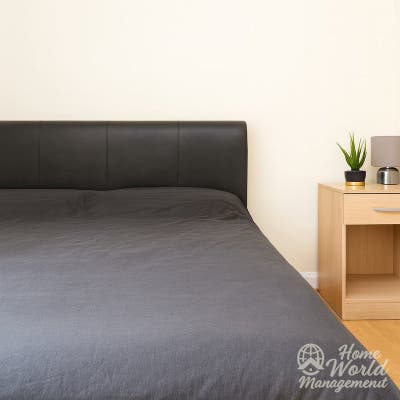 Seeking for a roommate to buddy up for housing Main Photo