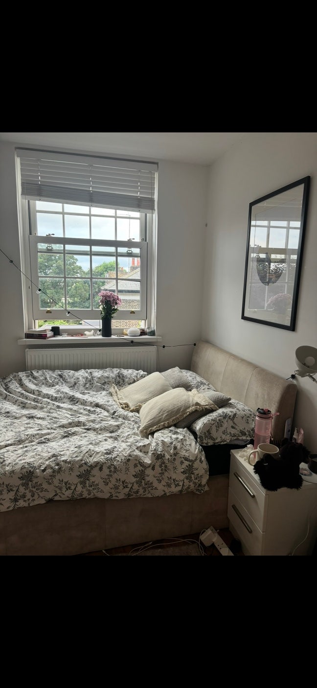 Hammersmith/Ravenscourt Park Main Photo