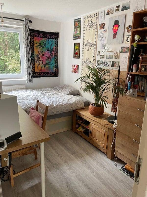 Room Available in Lovely Mile End Home 💕 Main Photo