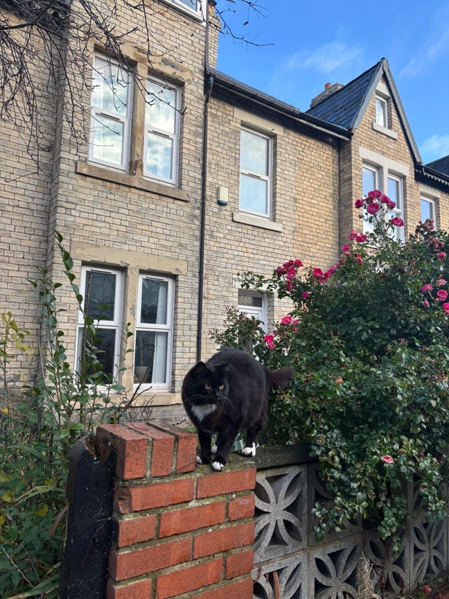 Room in Heaton  Main Photo