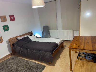  Large quality dble room nr Lark Lane/Sefton Park Main Photo